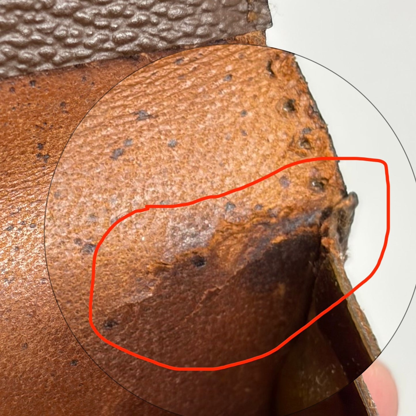 Louis Vuitton Vintage Envelope Case