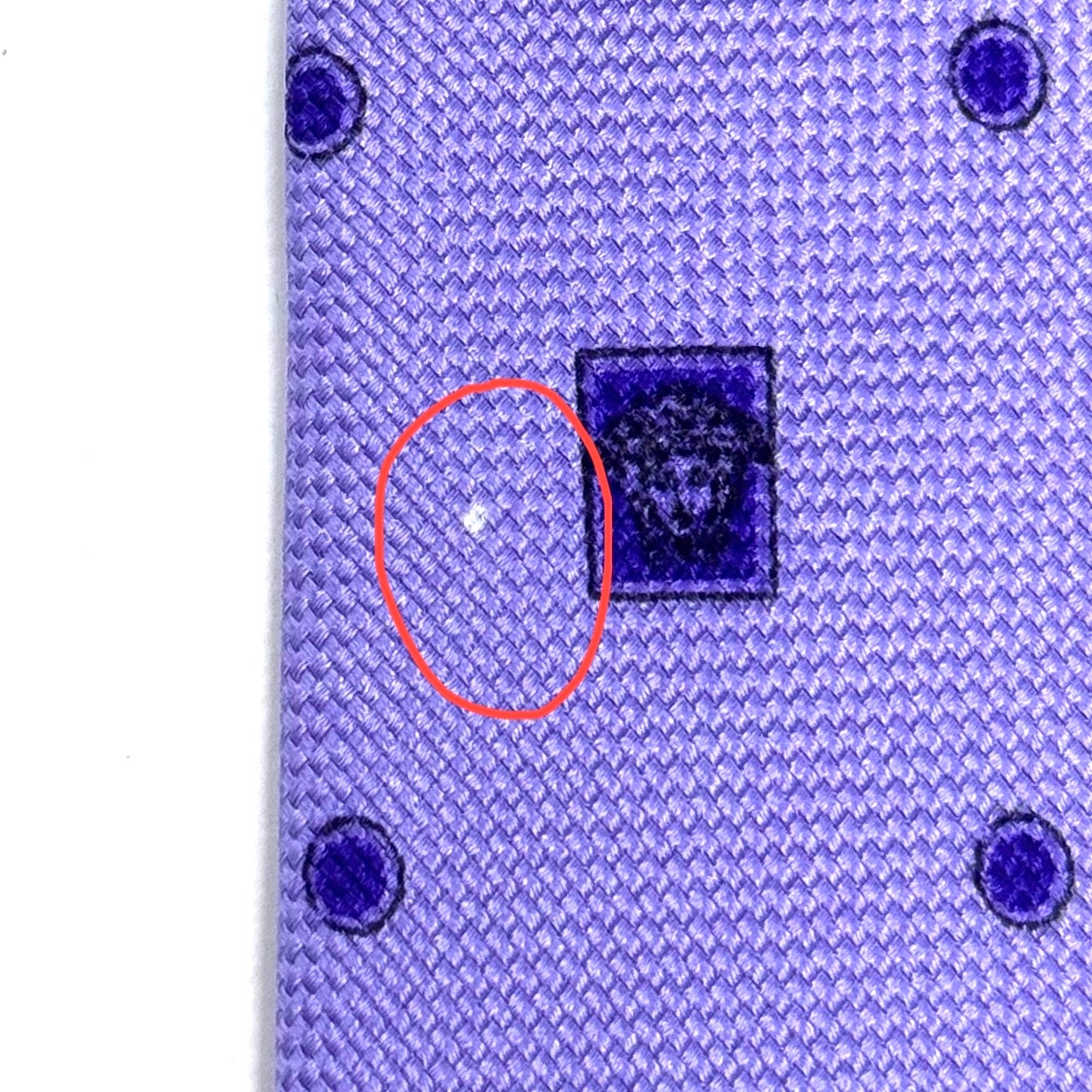 Versace Purple Medusa Tie
