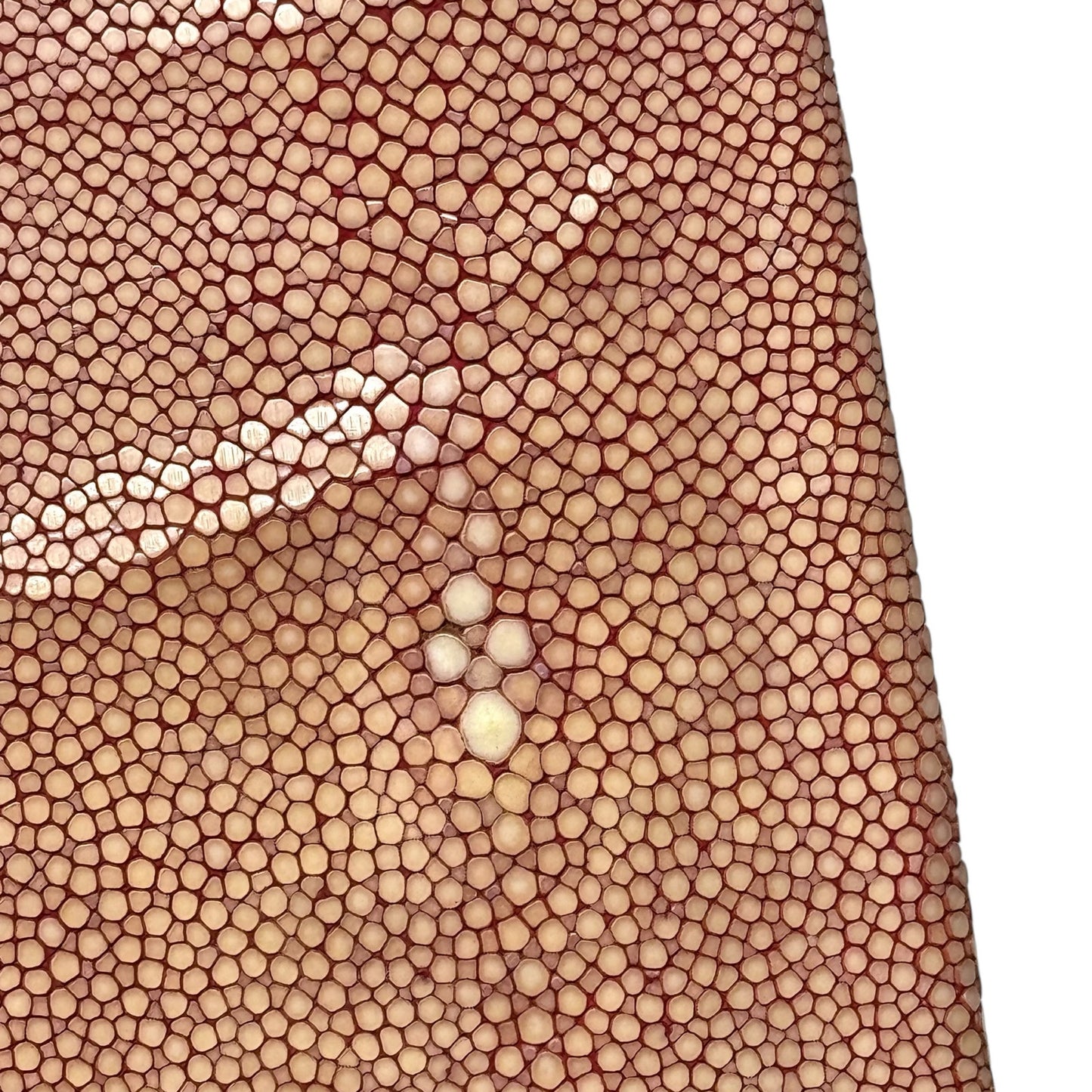 Bottega Veneta Stingray Long Wallet