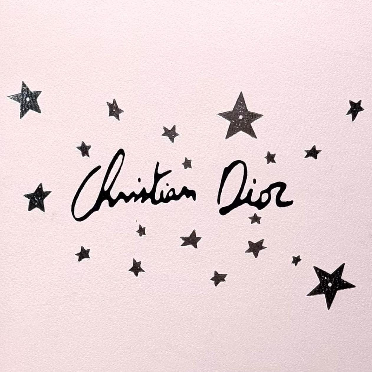 DIOR VIP Passport Case