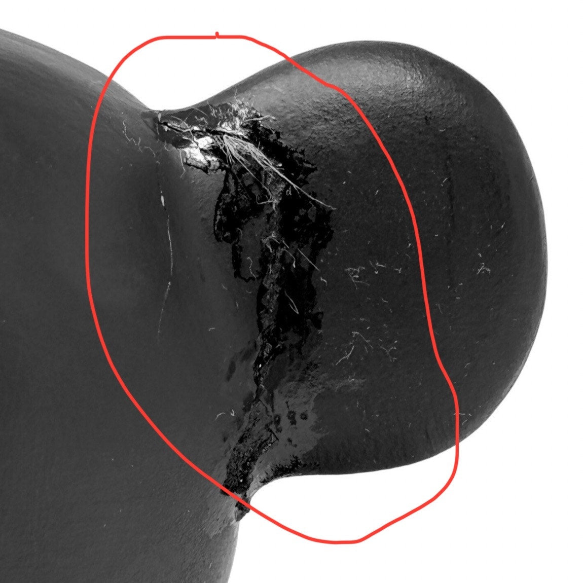 Gucci Bear Coin Bank