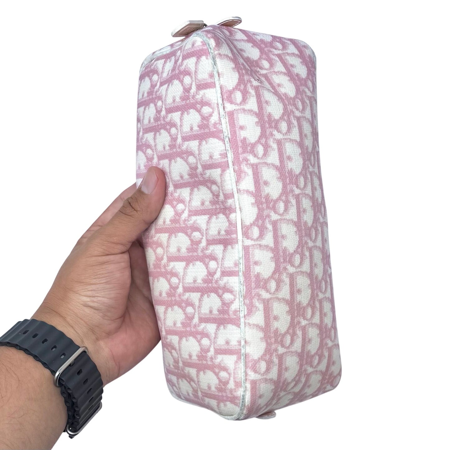 Christian Dior Vintage Oblique Pouch